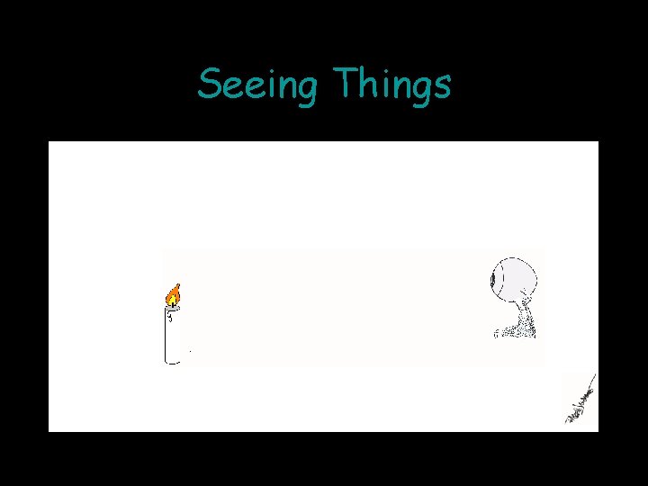 Seeing Things 