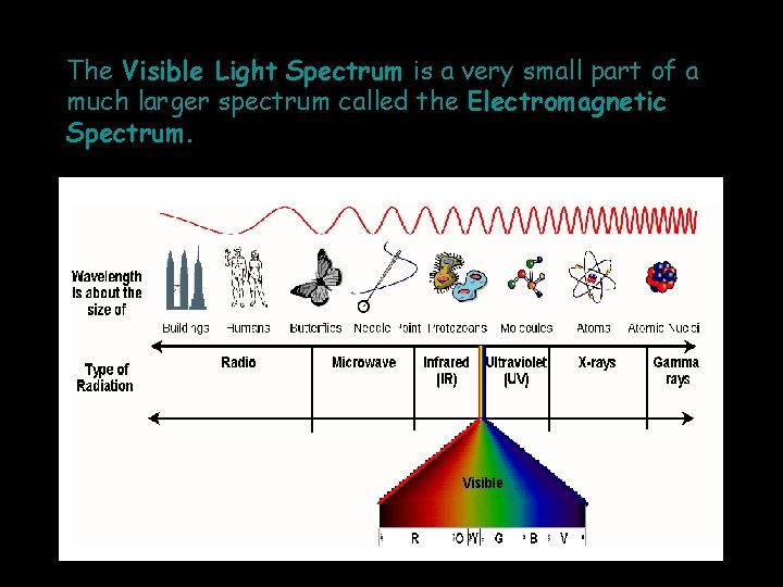 The Visible Light Spectrum is a very small part of a much larger spectrum