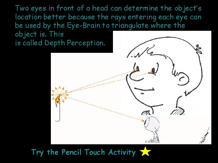 Two eyes in front of a head can determine the object’s location better because