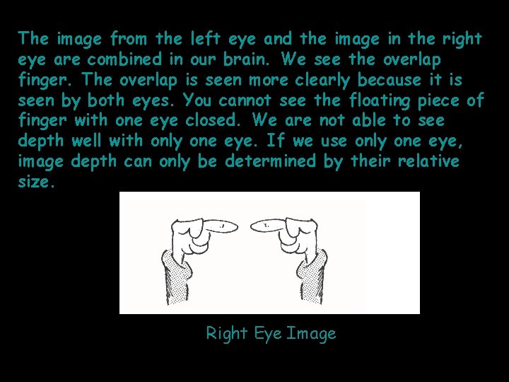 The image from the left eye and the image in the right eye are