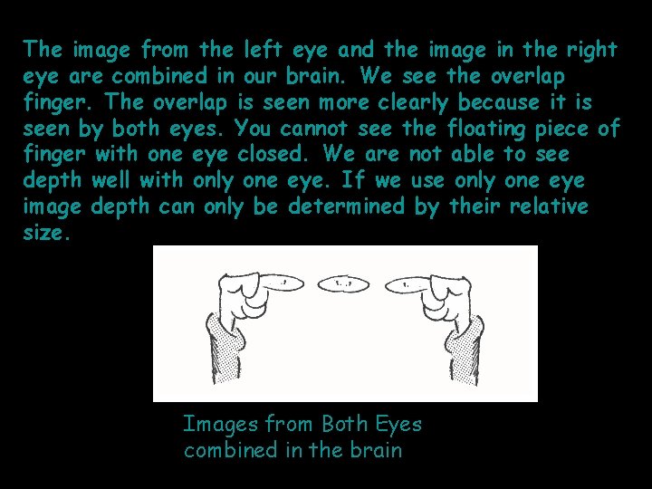 The image from the left eye and the image in the right eye are