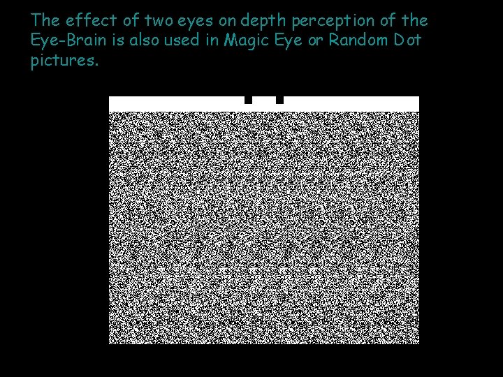 The effect of two eyes on depth perception of the Eye-Brain is also used