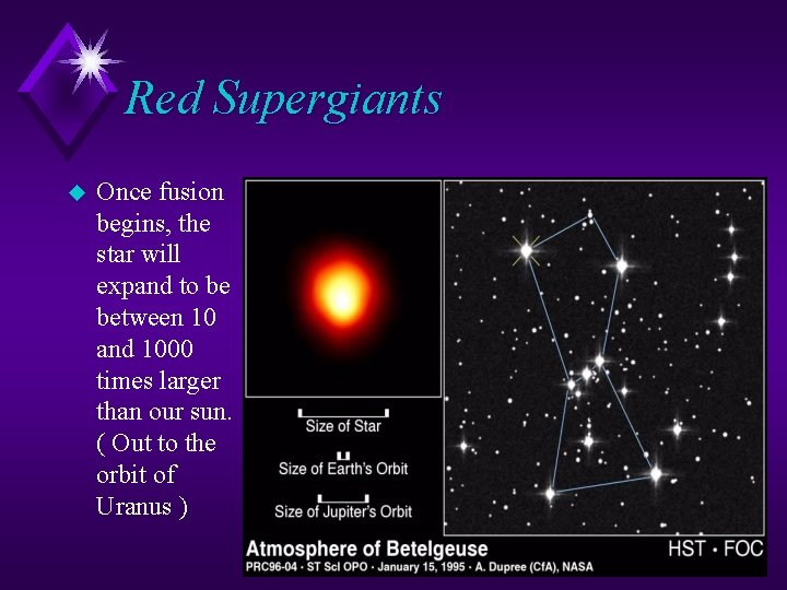 Red Supergiants u Once fusion begins, the star will expand to be between 10 Red Supergiants u Once fusion begins, the star will expand to be between 10