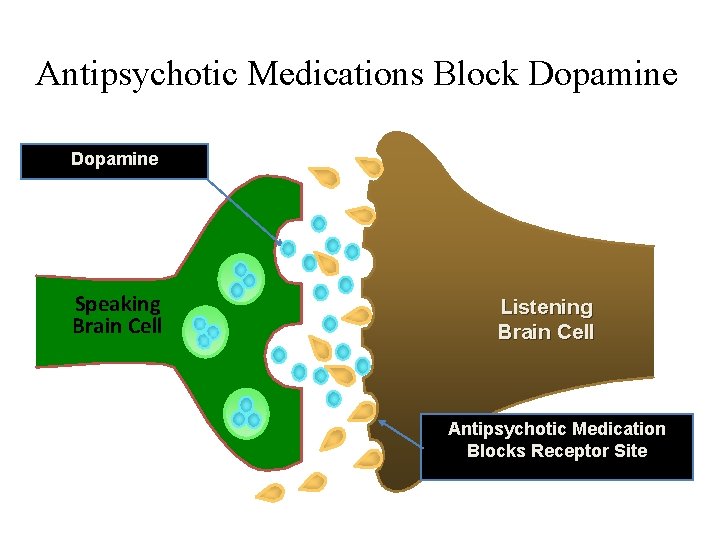 Antipsychotic Medications Block Dopamine Speaking Brain Cell Listening Brain Cell Antipsychotic Medication Blocks Receptor