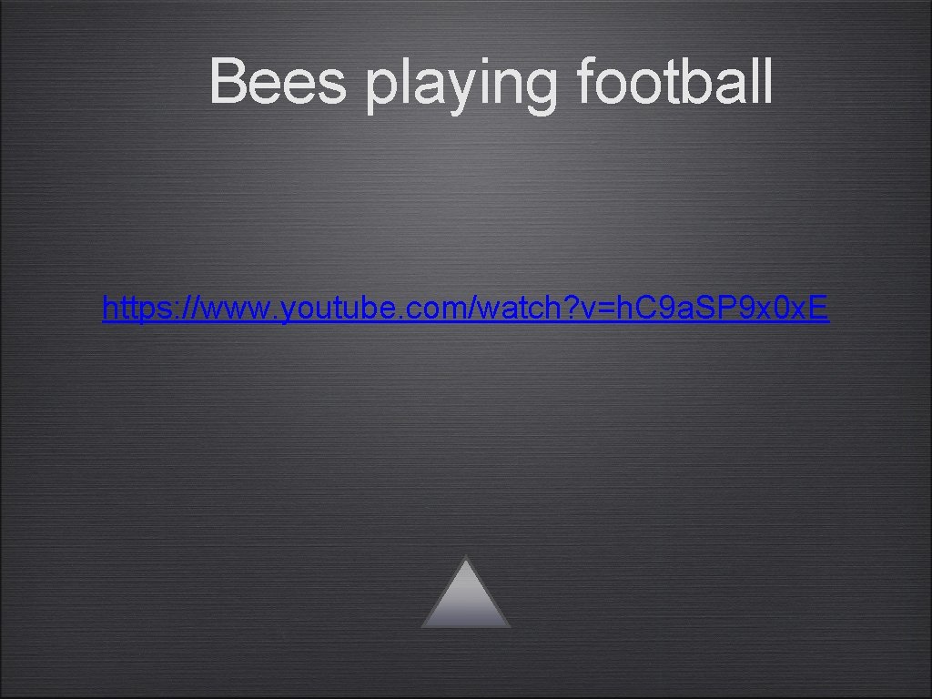 Bees playing football https: //www. youtube. com/watch? v=h. C 9 a. SP 9 x