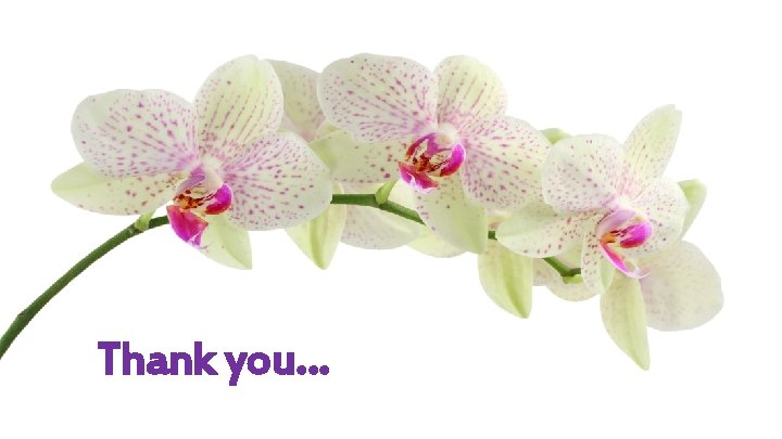 Thank you… Thank you…