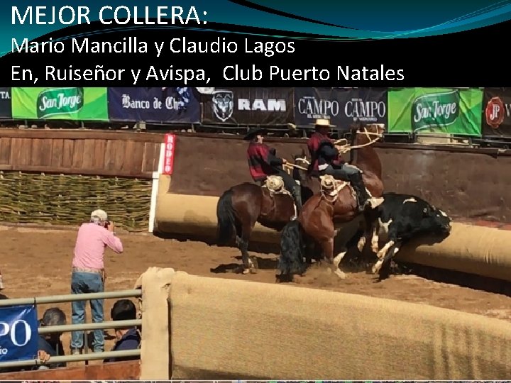 MEJOR COLLERA: Mario Mancilla y Claudio Lagos En, Ruiseñor y Avispa, Club Puerto Natales