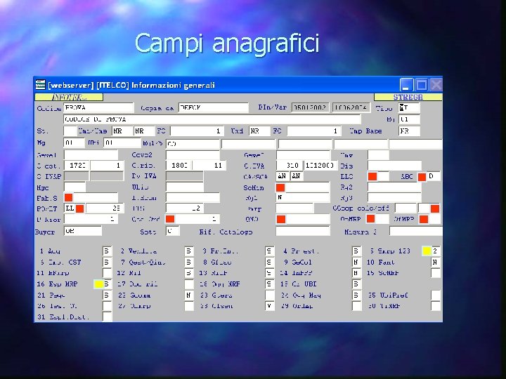 Campi anagrafici 