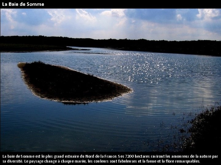 La Baie de Somme La baie de Somme est le plus grand estuaire du