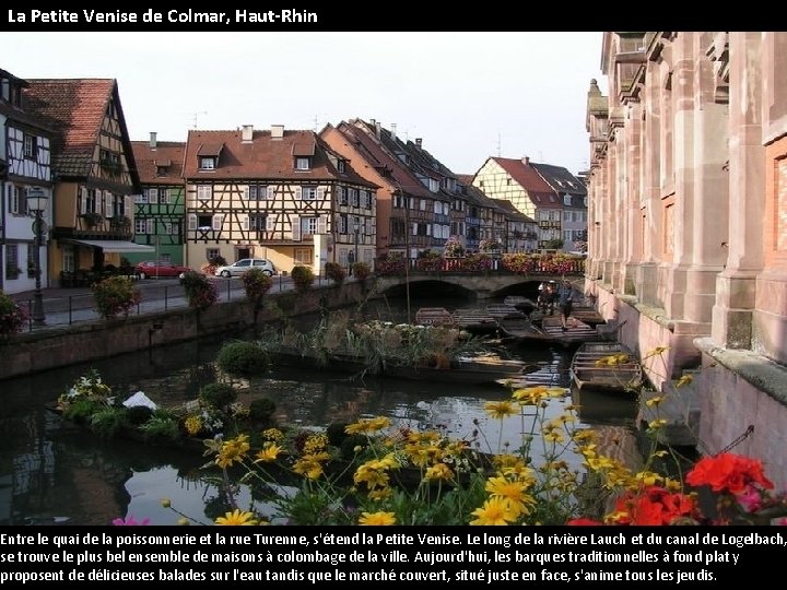 La Petite Venise de Colmar, Haut-Rhin Entre le quai de la poissonnerie et la