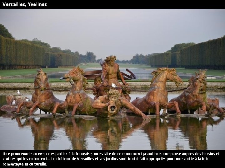 Versailles, Yvelines Une promenade au cœur des jardins à la française, une visite de