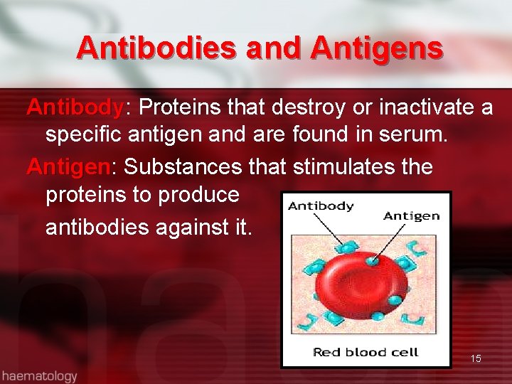 Antibodies and Antigens Antibody: Proteins that destroy or inactivate a Antibody specific antigen and