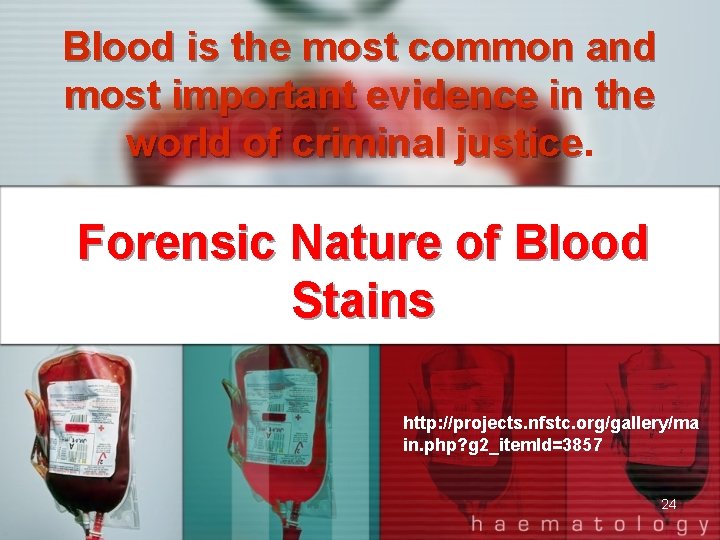 Blood is the most common and most important evidence in the world of criminal