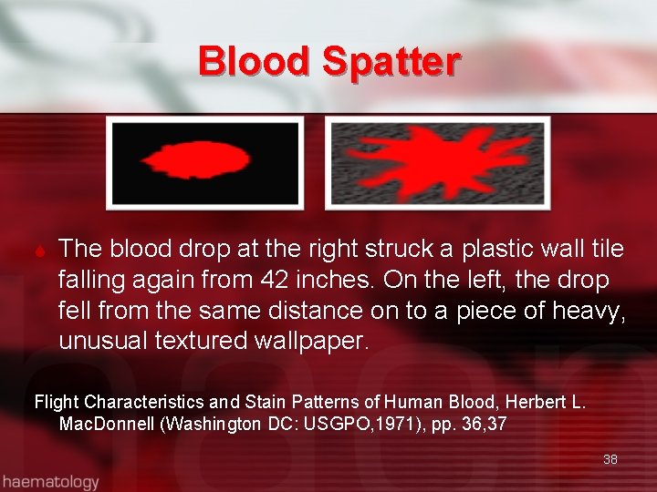  Blood Spatter The blood drop at the right struck a plastic wall tile