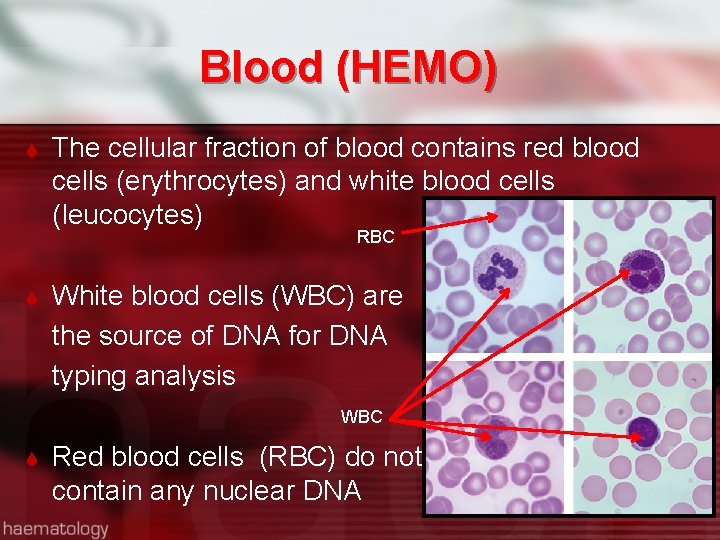 Blood (HEMO) The cellular fraction of blood contains red blood cells (erythrocytes) and white