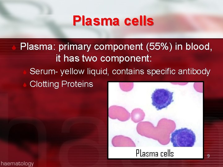 Plasma cells Plasma: primary component (55%) in blood, it has two component: Serum- yellow