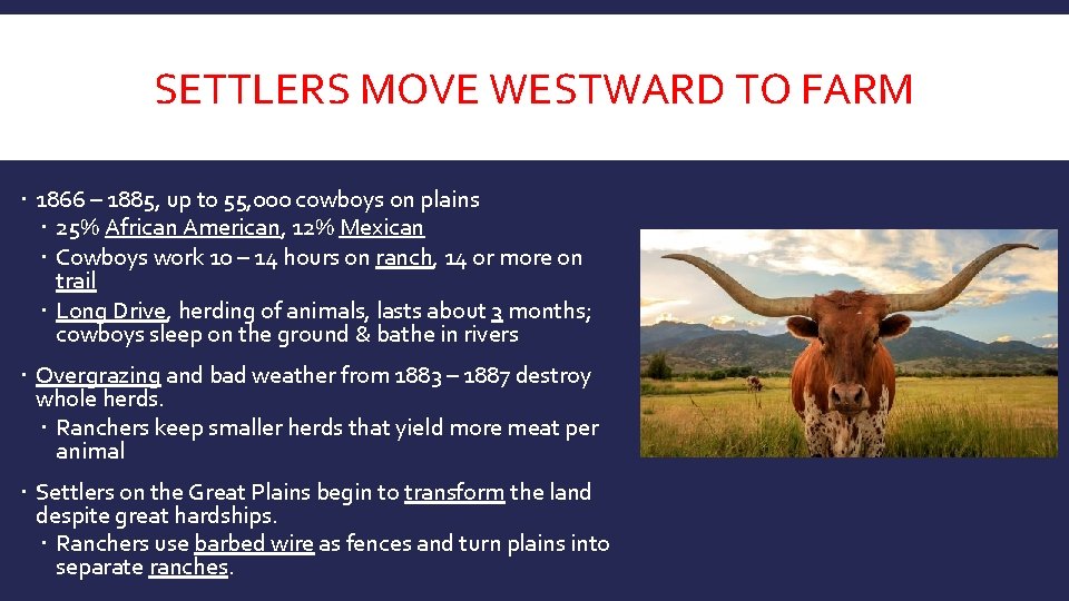 SETTLERS MOVE WESTWARD TO FARM 1866 – 1885, up to 55, 000 cowboys on