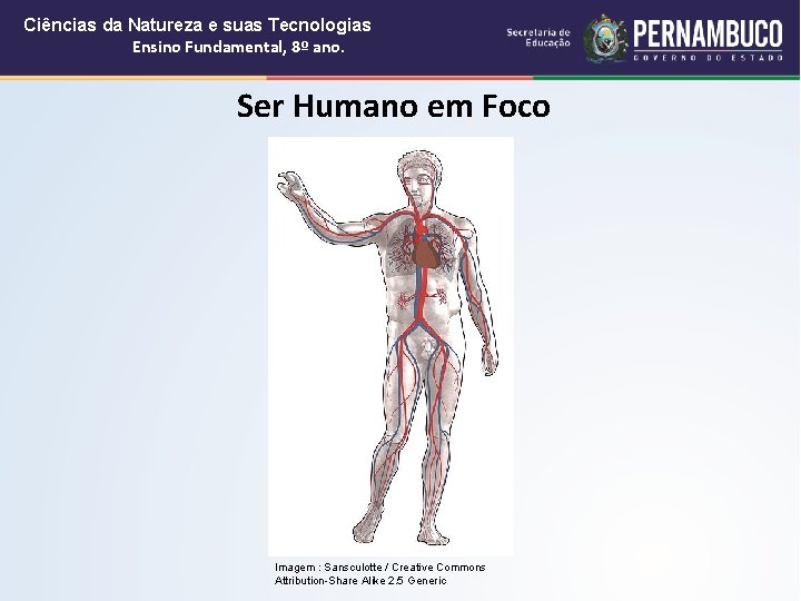 Ciências da Natureza e suas Tecnologias Ensino Fundamental, 8º ano. Ser Humano em Foco