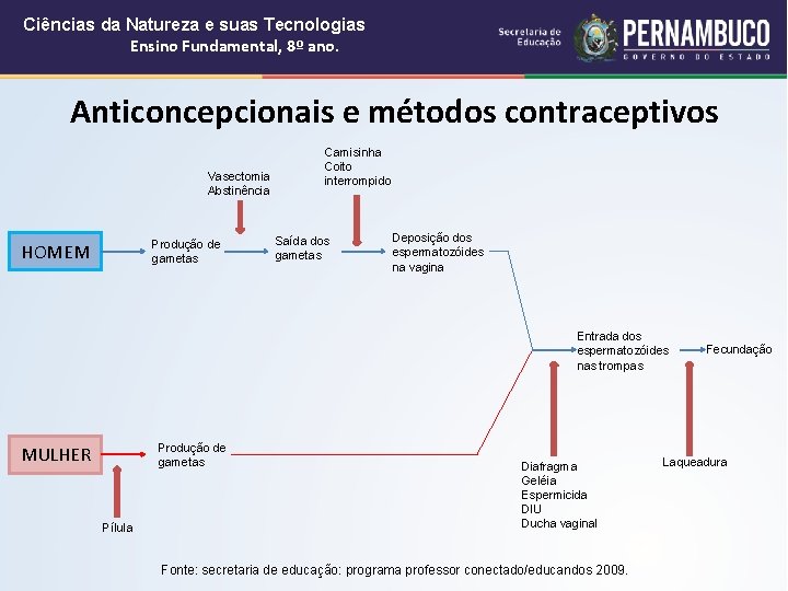 Ciências da Natureza e suas Tecnologias Ensino Fundamental, 8º ano. Anticoncepcionais e métodos contraceptivos