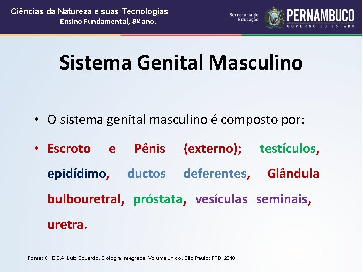 Ciências da Natureza e suas Tecnologias Ensino Fundamental, 8º ano. Sistema Genital Masculino •