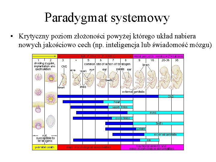 Paradygmat systemowy • Krytyczny poziom złożoności powyżej którego układ nabiera nowych jakościowo cech (np.