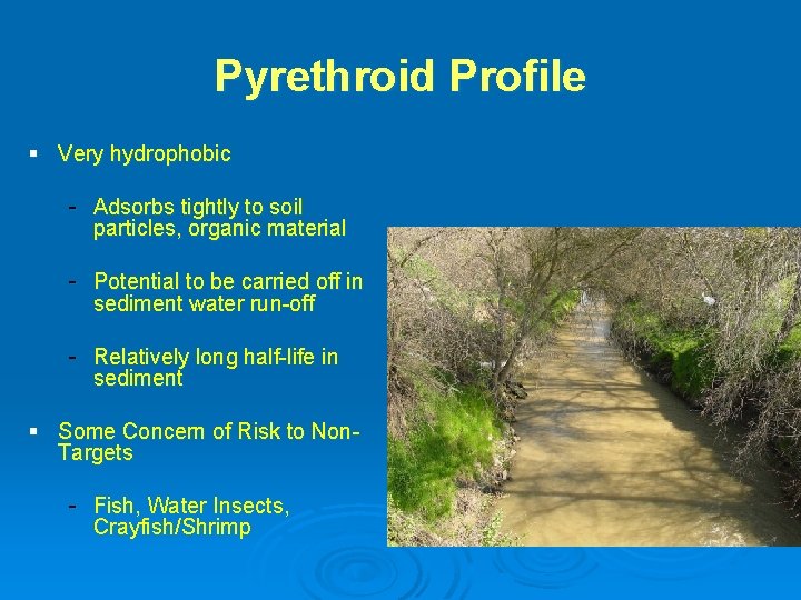Pyrethroid Profile § Very hydrophobic - Adsorbs tightly to soil particles, organic material -