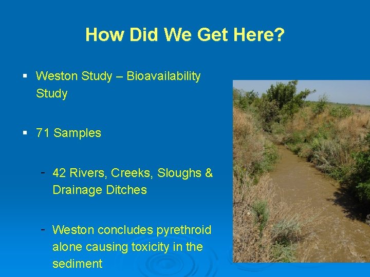 How Did We Get Here? § Weston Study – Bioavailability Study § 71 Samples