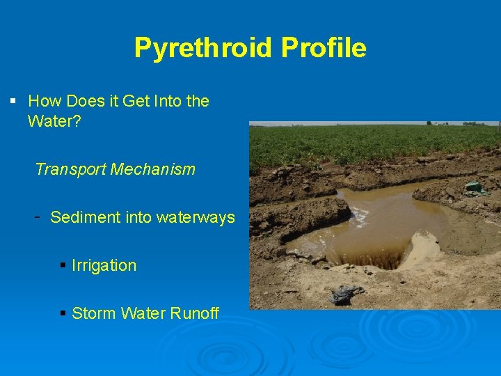 Pyrethroid Profile § How Does it Get Into the Water? Transport Mechanism - Sediment