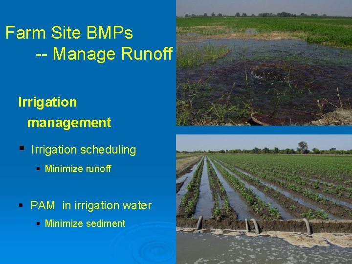 Farm Site BMPs -- Manage Runoff Irrigation management § Irrigation scheduling § Minimize runoff