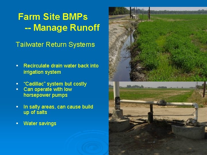 Farm Site BMPs -- Manage Runoff Tailwater Return Systems § Recirculate drain water back