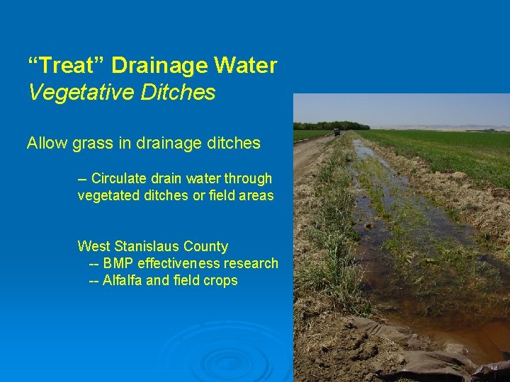 “Treat” Drainage Water Vegetative Ditches Allow grass in drainage ditches -- Circulate drain water