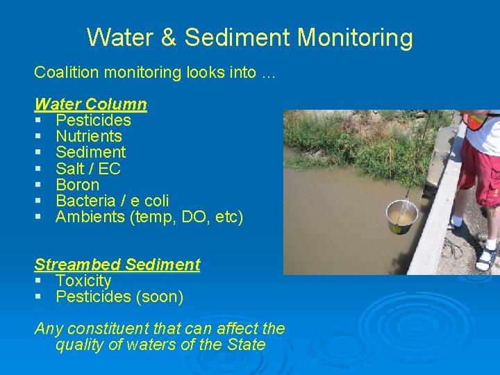 Water & Sediment Monitoring Coalition monitoring looks into … Water Column § Pesticides §