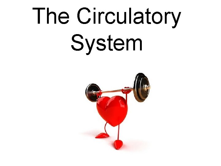 The Circulatory System 