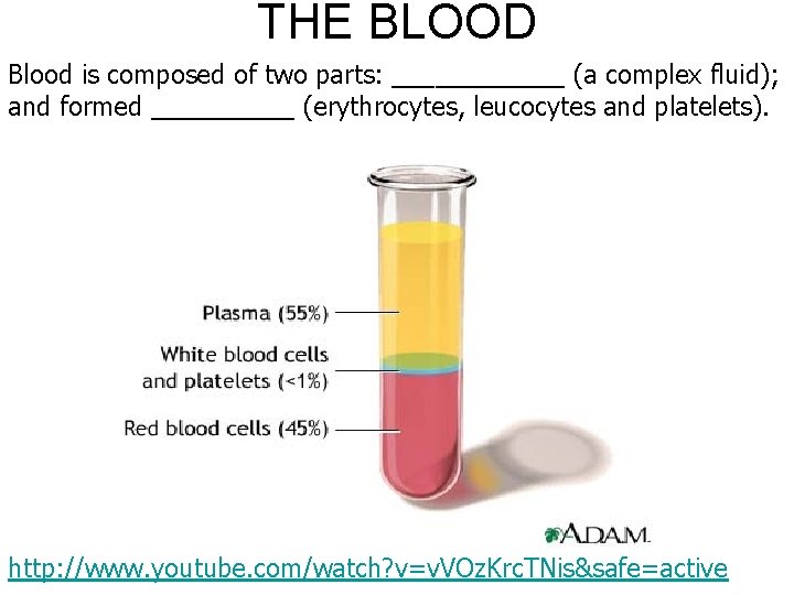 THE BLOOD Blood is composed of two parts: ______ (a complex fluid); and formed