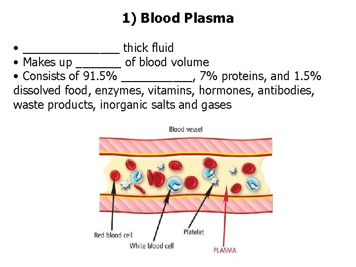 1) Blood Plasma • ________ thick fluid • Makes up _______ of blood volume