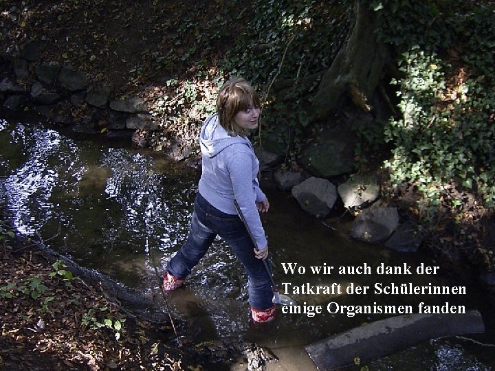 Um noch ein paar weitere Wassertiere kennenzulernen fuhren wir dann zum Thielenbruch an den