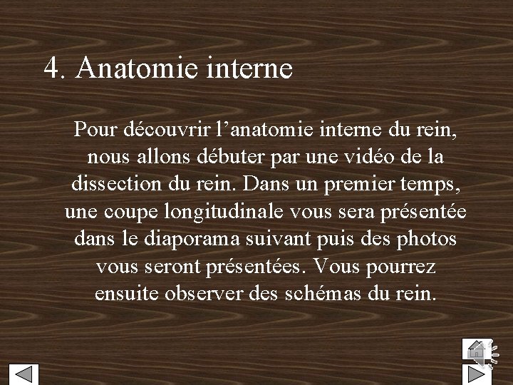 4. Anatomie interne Pour découvrir l’anatomie interne du rein, nous allons débuter par une