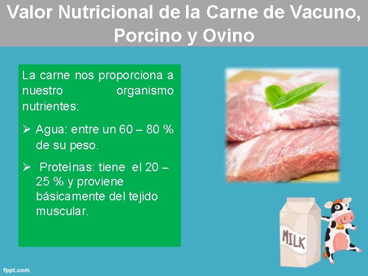 Valor Nutricional de la Carne de Vacuno, Porcino y Ovino La carne nos proporciona