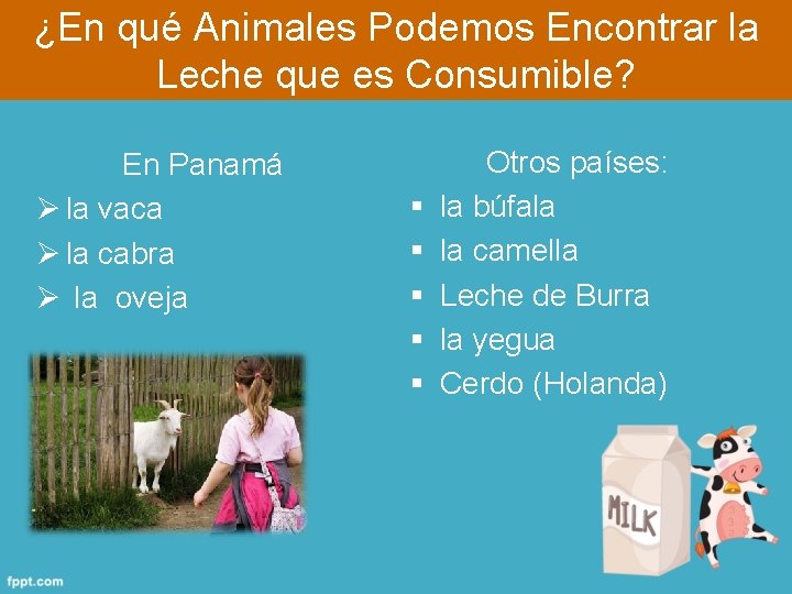 ¿En qué Animales Podemos Encontrar la Leche que es Consumible? En Panamá Ø la