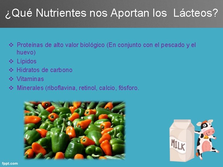 ¿Qué Nutrientes nos Aportan los Lácteos? v Proteínas de alto valor biológico (En conjunto