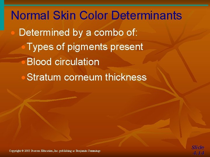 Normal Skin Color Determinants · Determined by a combo of: · Types of pigments