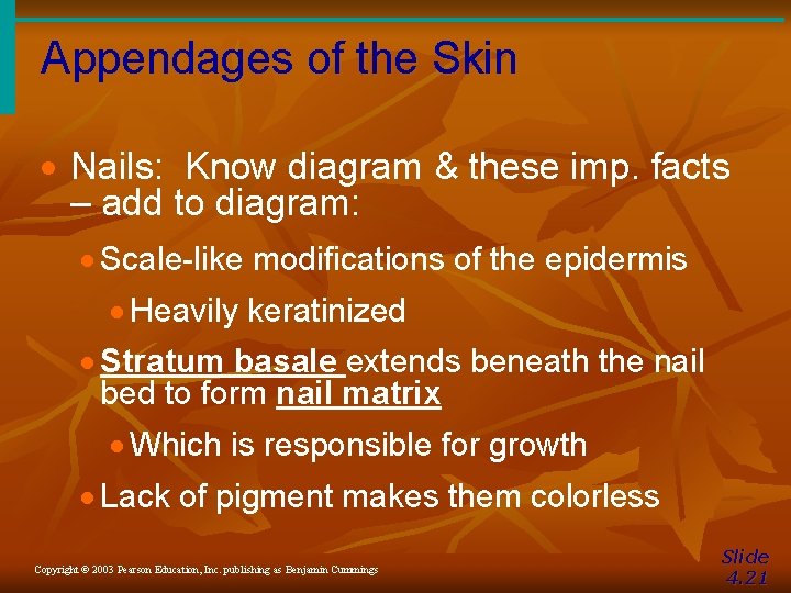 Appendages of the Skin · Nails: Know diagram & these imp. facts – add