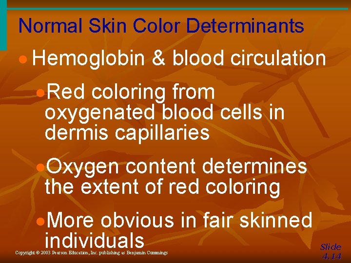 Normal Skin Color Determinants · Hemoglobin & blood circulation ·Red coloring from oxygenated blood