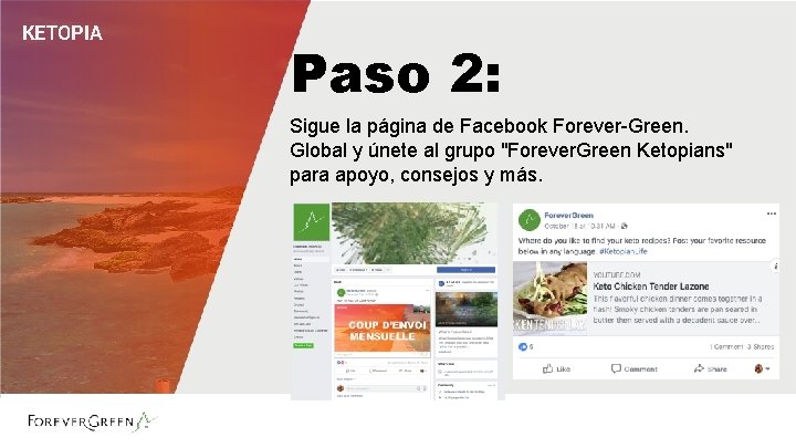 KETOPIA Paso 2: Sigue la página de Facebook Forever-Green. Global y únete al grupo KETOPIA Paso 2: Sigue la página de Facebook Forever-Green. Global y únete al grupo