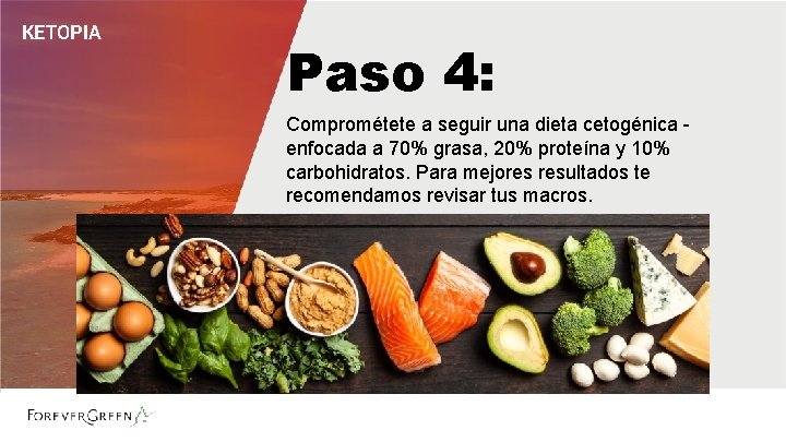 KETOPIA Paso 4: Comprométete a seguir una dieta cetogénica enfocada a 70% grasa, 20% KETOPIA Paso 4: Comprométete a seguir una dieta cetogénica enfocada a 70% grasa, 20%