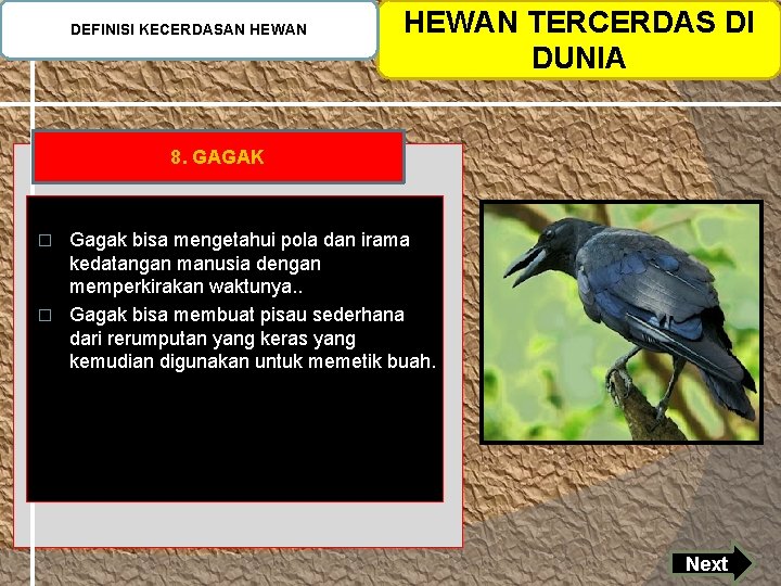 DEFINISI KECERDASAN HEWAN TERCERDAS DI DUNIA 8. GAGAK Gagak bisa mengetahui pola dan irama