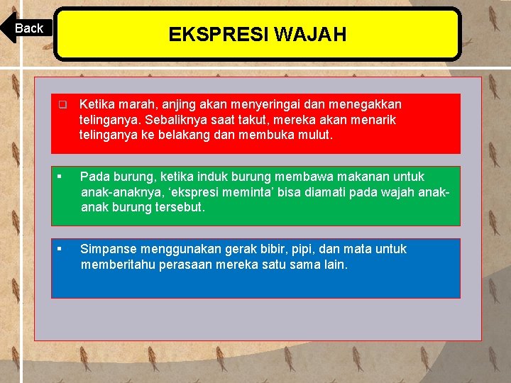 Back EKSPRESI WAJAH q Ketika marah, anjing akan menyeringai dan menegakkan telinganya. Sebaliknya saat