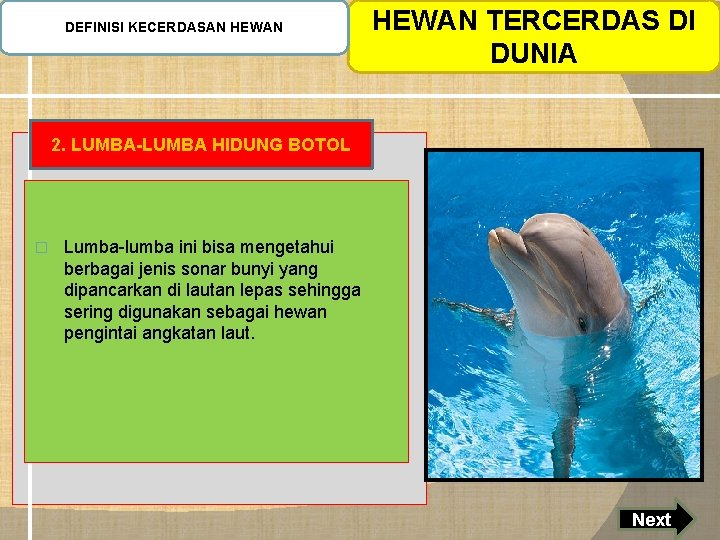 DEFINISI KECERDASAN HEWAN TERCERDAS DI DUNIA 2. LUMBA-LUMBA HIDUNG BOTOL � Lumba-lumba ini bisa