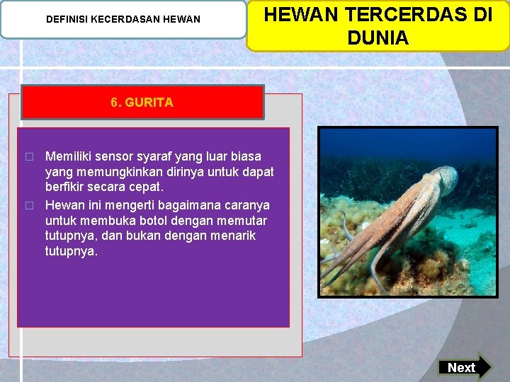 DEFINISI KECERDASAN HEWAN TERCERDAS DI DUNIA 6. GURITA Memiliki sensor syaraf yang luar biasa