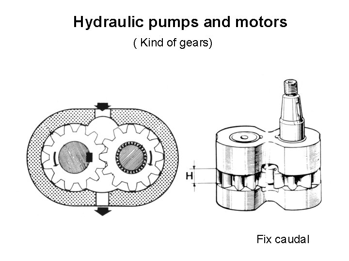 Hydraulic pumps and motors ( Kind of gears) Fix caudal 